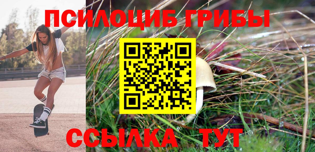 Электрогорск  Галлюциногенные грибы Psilocybine cubensis  Вход с VPN  Псилоцибиновые грибы мухоморы 