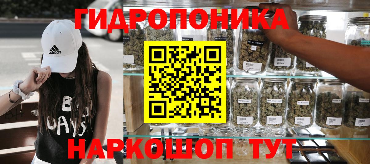 Электрогорск  Шишки марихуана Amnesia  Вход с VPN  Канабис индика 